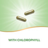 Nature's Way Premium Herbal Parsley Leaf Provides Chlorophyll, 100 Vegan