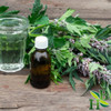 Herb To Body Motherwort Herb Cut & Sifted