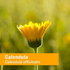 Herb Pharm Certified Organic Calendula Liquid Extract for Minor Pain Support