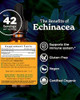 Herb Pharm Certified Organic Echinacea Root Liquid Extract for Immune System