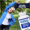 Centella Asiatica 500 mg 60 Capsules by Natural Systems