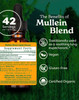 Herb Pharm Certified Organic Mullein Blend Liquid Extract for Respiratory System