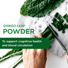 EMERALD LABS Ginkgo Biloba Extract - Brain Health Supplement