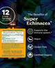 Herb Pharm Certified Organic Super Echinacea Liquid Extract for Active Immune