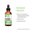 Gymnema Sylvestre-Liquid Extract, Alcohol Free, Gluten Free, Non-GMO, Dropper