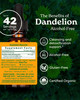 Herb Pharm Certified Organic Dandelion Liquid Extract for Cleansing
