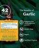 Herb Pharm Certified Organic Garlic Liquid Extract for Cardiovascular