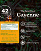 Herb Pharm Certified Organic Cayenne Extract for Cardiovascular and Circulatory