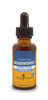 Herb Pharm Certified Organic Meadowsweet Liquid Extract for Minor Pain