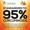Turmeric Curcumin Supplement 95% Curcuminoids 1950mg with Organic Turmeric &