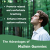 Putaojun 1 Pack Organic Mullein Gummies for Lungs, 2000MG Mullein Leaf Extract