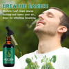 QJCWXIAOX Mullein Drops for Lungs, Mullein Leaf Extract with Chlorophyll,Mullein
