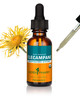 Herb Pharm Certified Organic Elecampane Liquid Extract for Respiratory System
