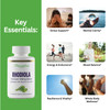 Paradise Herbs Rhodiola Extract 500mg, Super Potent Antioxidant, Ultra Pure