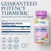 SOLARAY Turmeric Supplement 300 mg - Turmeric Root Extract with 95% Curcumin