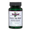 Vitanica Chaste Tree Berry Extract, Vitex Chasteberry Supplement for Women