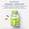 SOLARAY Nettle Leaf 450mg Healthy Kidney, Urinary & Prostate Support Traditional