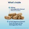 Jarrow Formulas Ashwagandha Capsules, 300 mg Supplement Supports Normalized