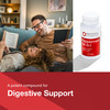 Protocol Peppermint G.I. - for Digestive Health Support*