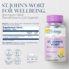 SOLARAY St John's Wort 900 mg, Once Daily Mood Support Supplement, Standardized