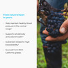 Endur MegaNatural-BP Grape Seed Extract, Sustained Release Formula For Optimal