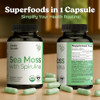Atlantic Naturals Sea Moss with Spirulina Superfood Capsules