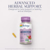 SOLARAY Berberine 500mg - Berberine Supplement for a Healthy, Active Lifestyle