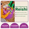 Fungies Reishi Mushroom Gummies, Delicious Apple Flavor