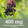 Quantum Health Black Elderberry Liquid Extract Sambucus Nigra Immune Support