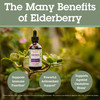 Quantum Health Black Elderberry Liquid Extract Sambucus Nigra Immune Support