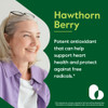 BESTVITE Hawthorn Berry 600mg per Capsule (240 Vegetarian Capsules)