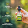 Banyan Botanicals Organic Ashwagandha Liquid Extract