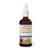 Natural Factors, Anti-V Liquid Formula, Echinacea Supplement for Immune