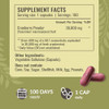 HERBAMAMA Cranberry Extract Capsules