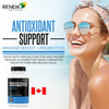 RENEW ACTIVES Antioxidant