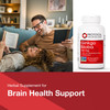 Protocol Ginkgo Biloba - 120 mg Ginkgo Biloba Extract