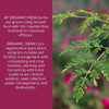 Organic India Triphala
