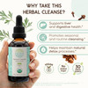 HerbEra Herbal Cleanse Organic Alcohol-Free Tincture