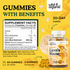 Wild & Organic Lions Mane Mushroom Gummies 1000mg