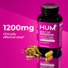 HUM Best of Berberine Supplement 1200mg, Pure Potency for Metabolic Wellness