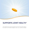 Nature's Way Turmeric, Premium Extract, Supports Joint Health*, Standardized