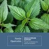 Eclectic Herb - Nettle Quercetin Capsules | Non-GMO, Vegan | 90 CT