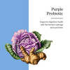 Eclectic Herb - Purple Probiotic Capsules - Digestive + Intestinal Support