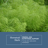Eclectic Herb - Horsetail Capsules - Mineral + Nutritional Support
