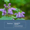 Eclectic Herb - Skullcap Capsules - Natural Sleep, Calm & Relaxation Support
