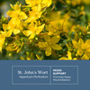 Eclectic Herb - St. John's Wort Capsules - Nervous System & Immune Support