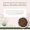 Starwest Botanicals Organic Raw Dandelion Root Tea [1 Pound] Bulk Cut & Sifted