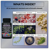 11-in-1 Nootropic Supplement: Supports Memory & Cognition