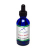 Ginkgo Biloba Supplement to Support Brain, Memory, Focus & Circulation