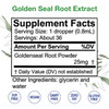GoldenSeal Alcohol Free Extract Liquid